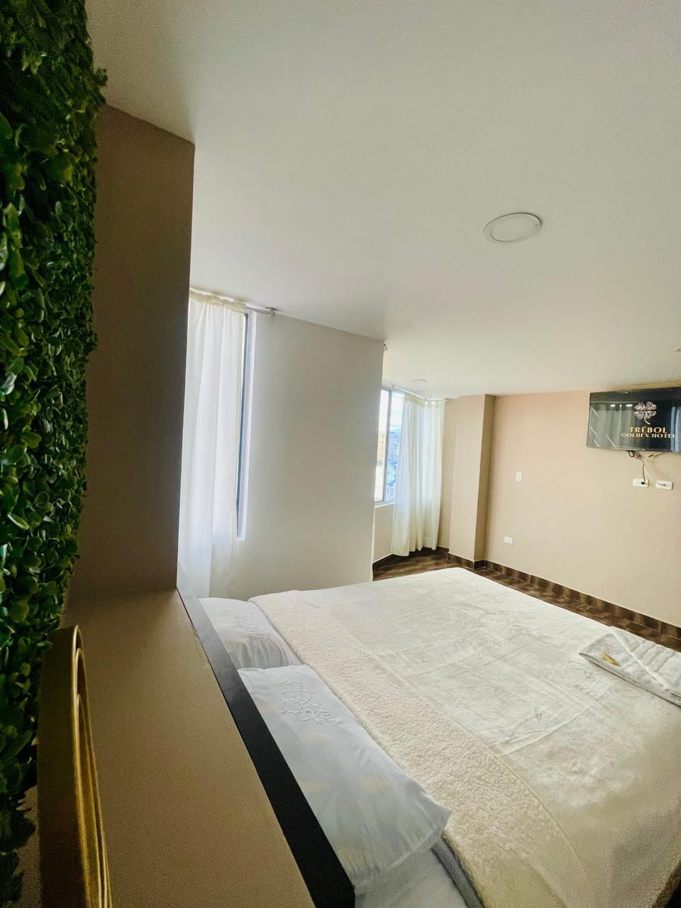 Bed, TV and multimedia