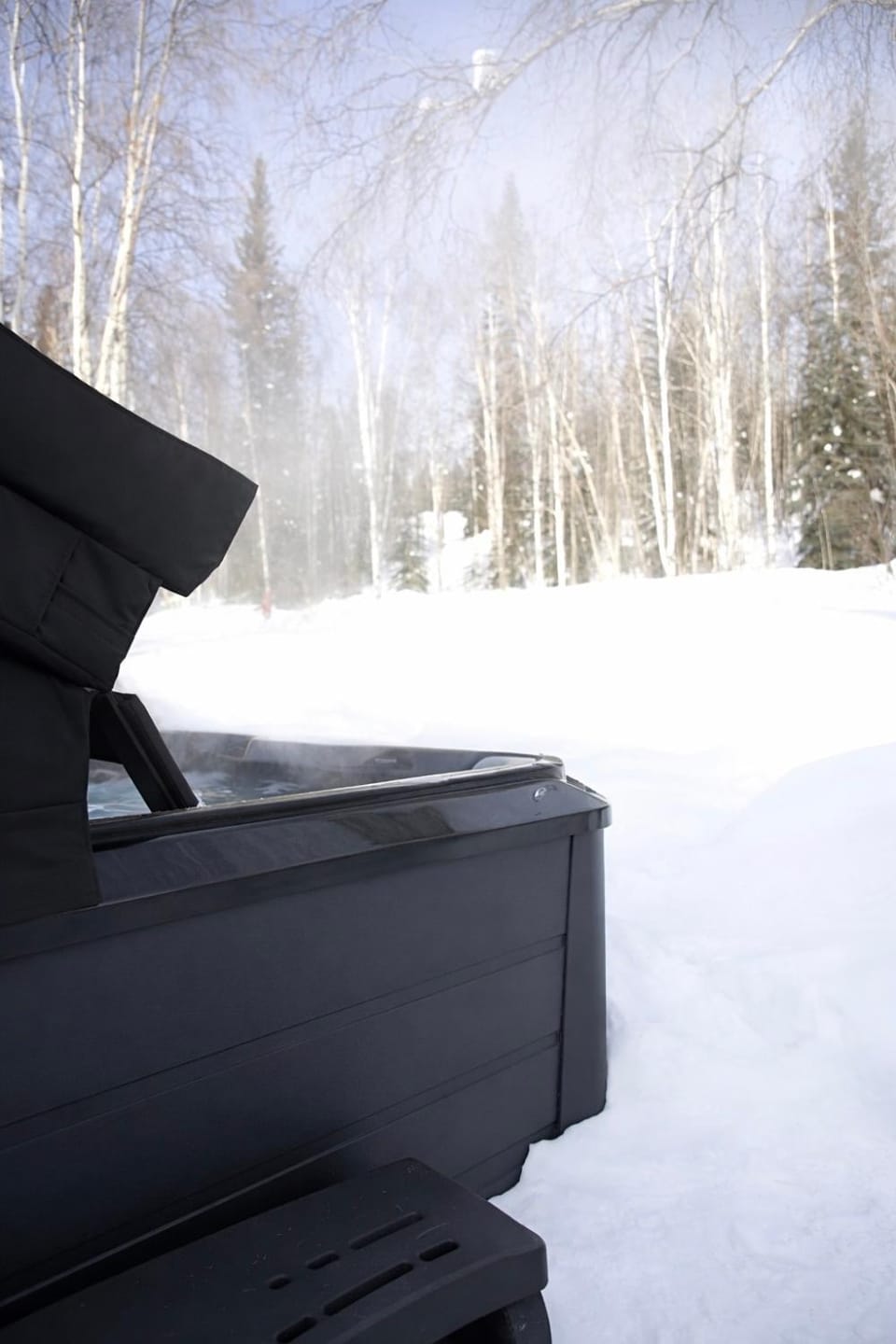Whole House Aurora View with Hot tub, Sauna and AC Villa in Alaska
