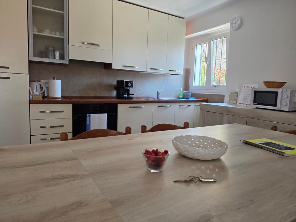Kitchen or kitchenette, oven, stove, toaster