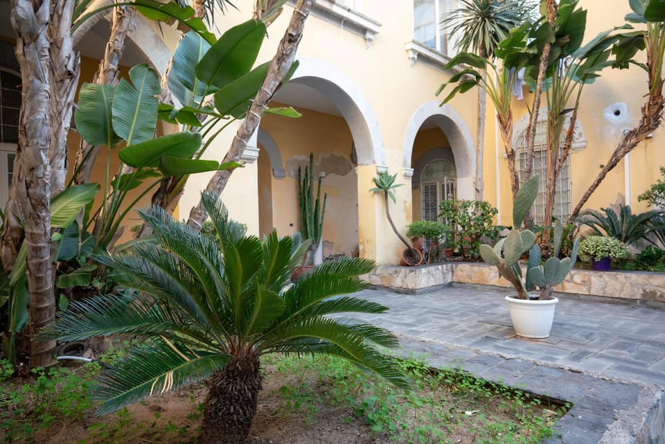 Property building, Garden, Garden view