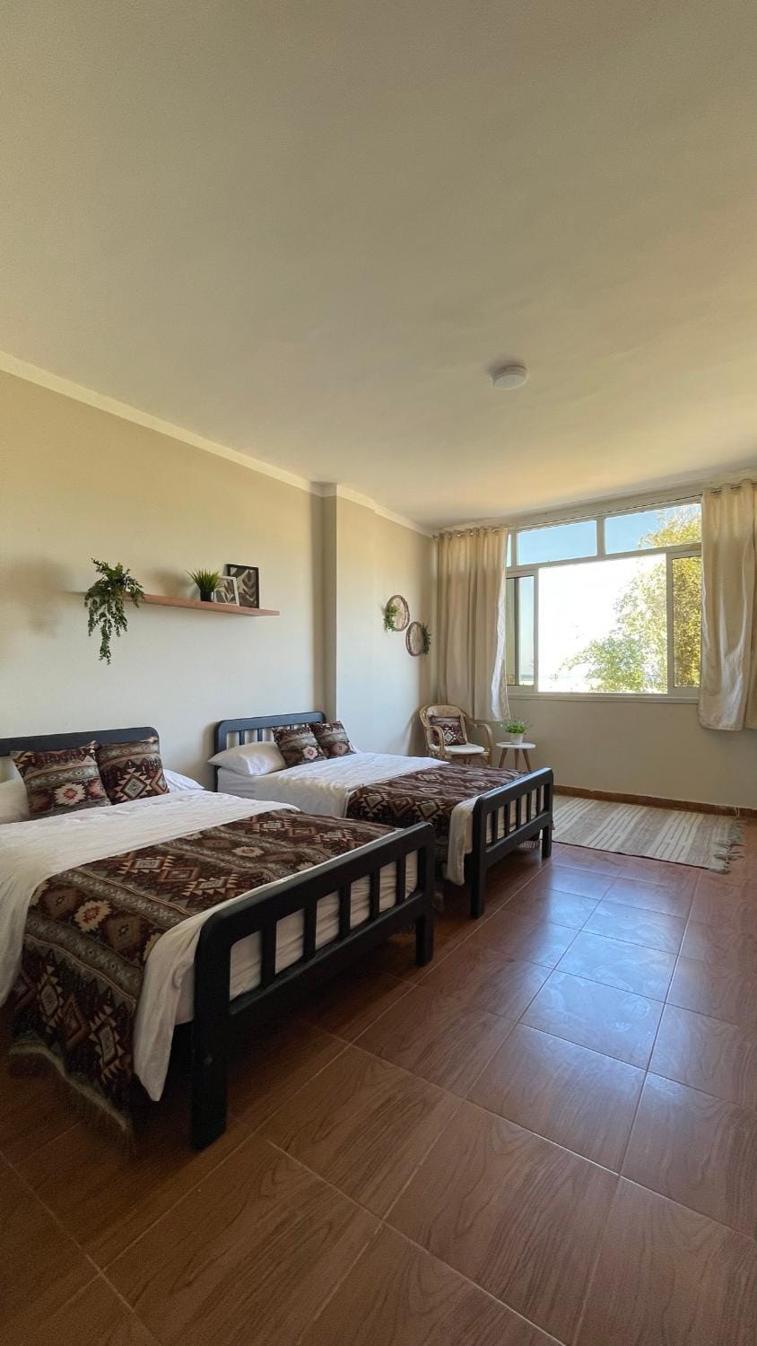 Bed, Photo of the whole room, Bedroom, Sea view