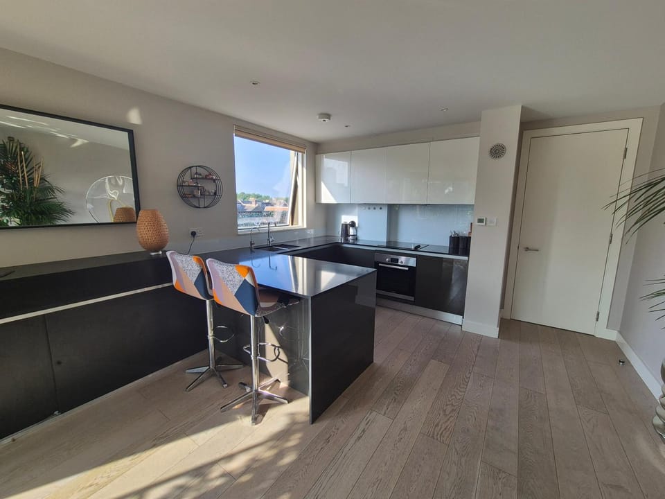 Panoramic Pondview Penthouse Apartment in London Borough of Hackney