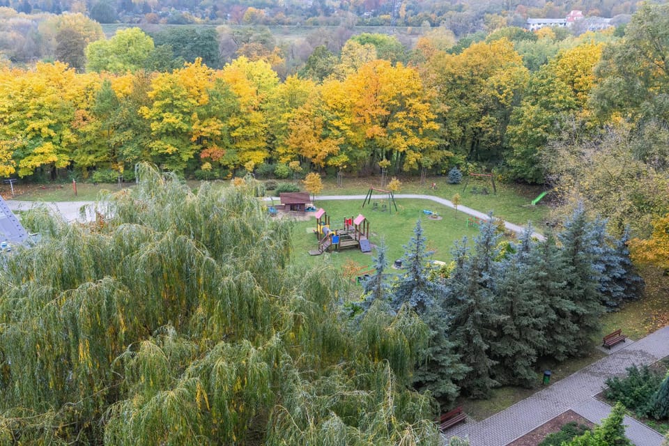 Spring, Day, Natural landscape, View (from property/room)