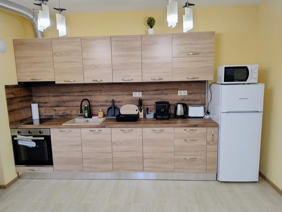 Coffee/tea facilities, Kitchen or kitchenette, minibar, pet friendly, stove, toaster