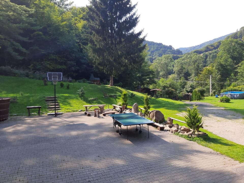 Cabana Basmelor cu Ciubar Bed and Breakfast in Romania