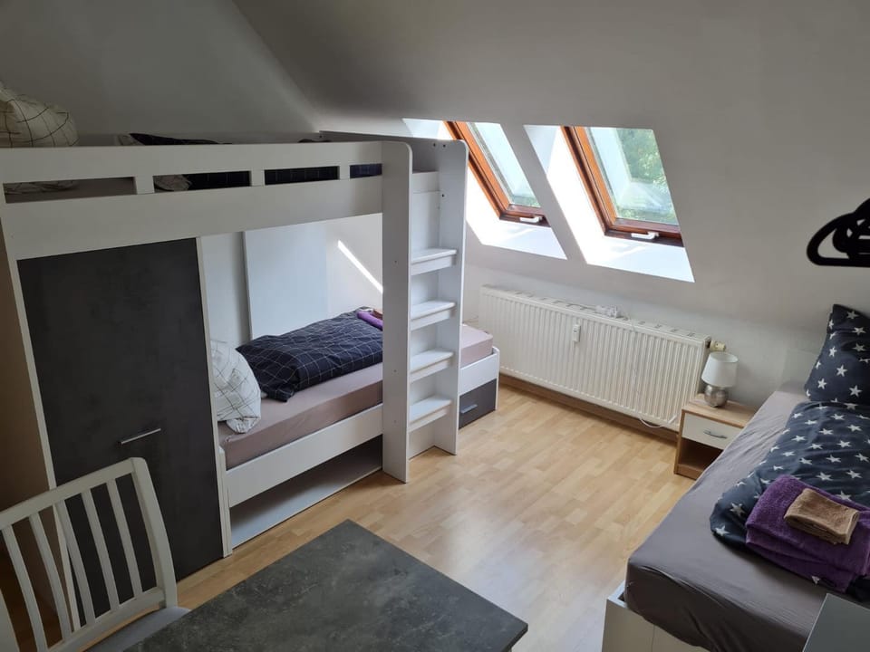 FeWo WIEKO Plauen Leibnizstr. H1, DG links Apartment in Plauen