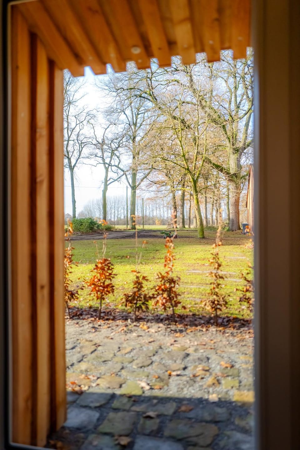 View (from property/room), Garden view