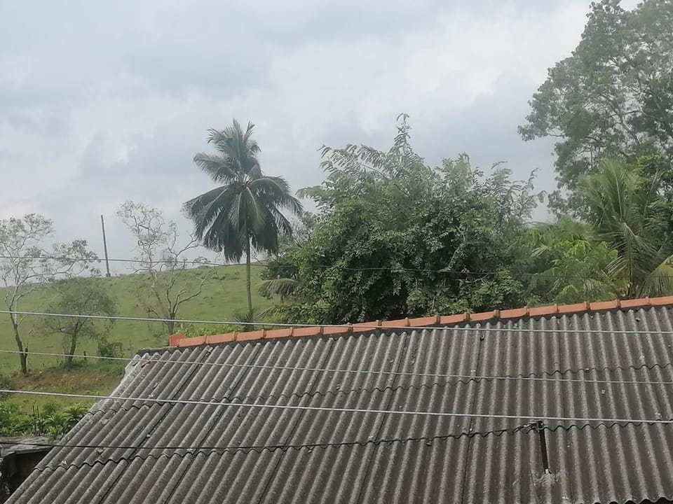 Day, Natural landscape
