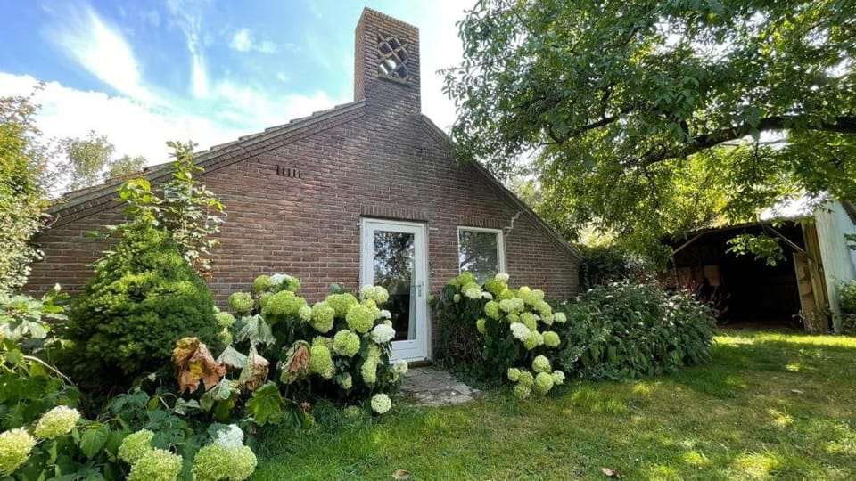 Property building, Day, Garden