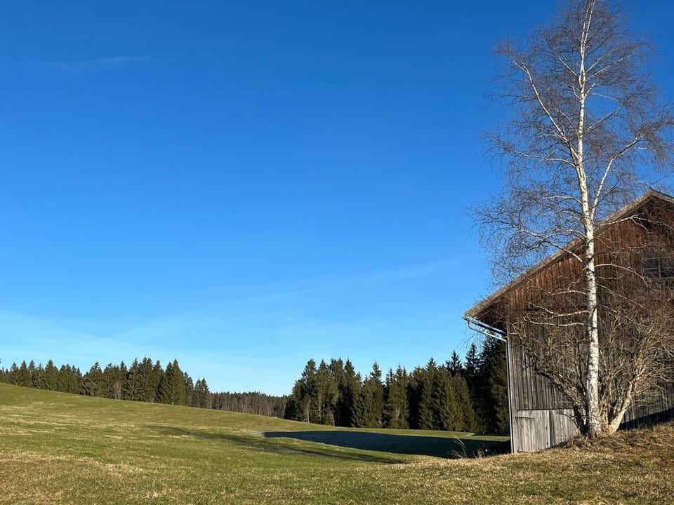 Haus Allgäu Ruh Apartment in Bavaria