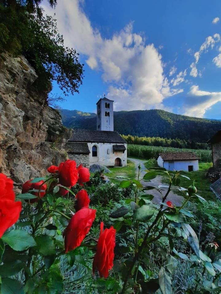 Nearby landmark, Spring, Natural landscape, Garden, Garden view, Landmark view, Mountain view