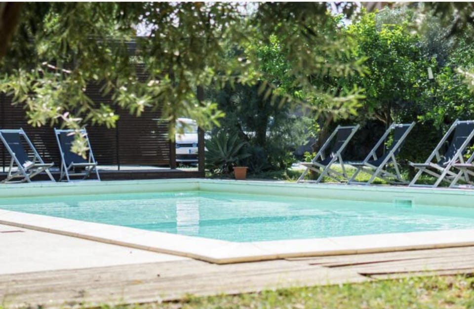 Spring, Day, Garden, Garden view, Pool view, Swimming pool, sunbed