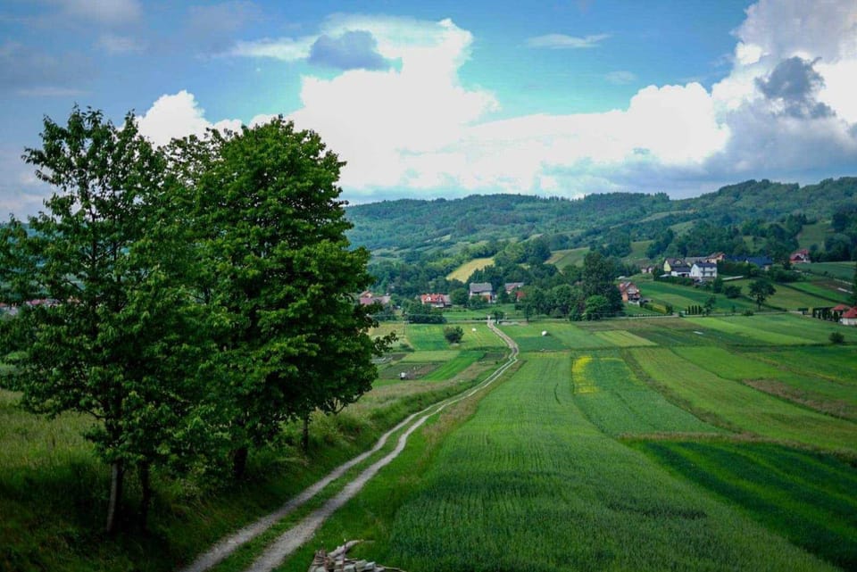Spring, Day, Natural landscape, Mountain view