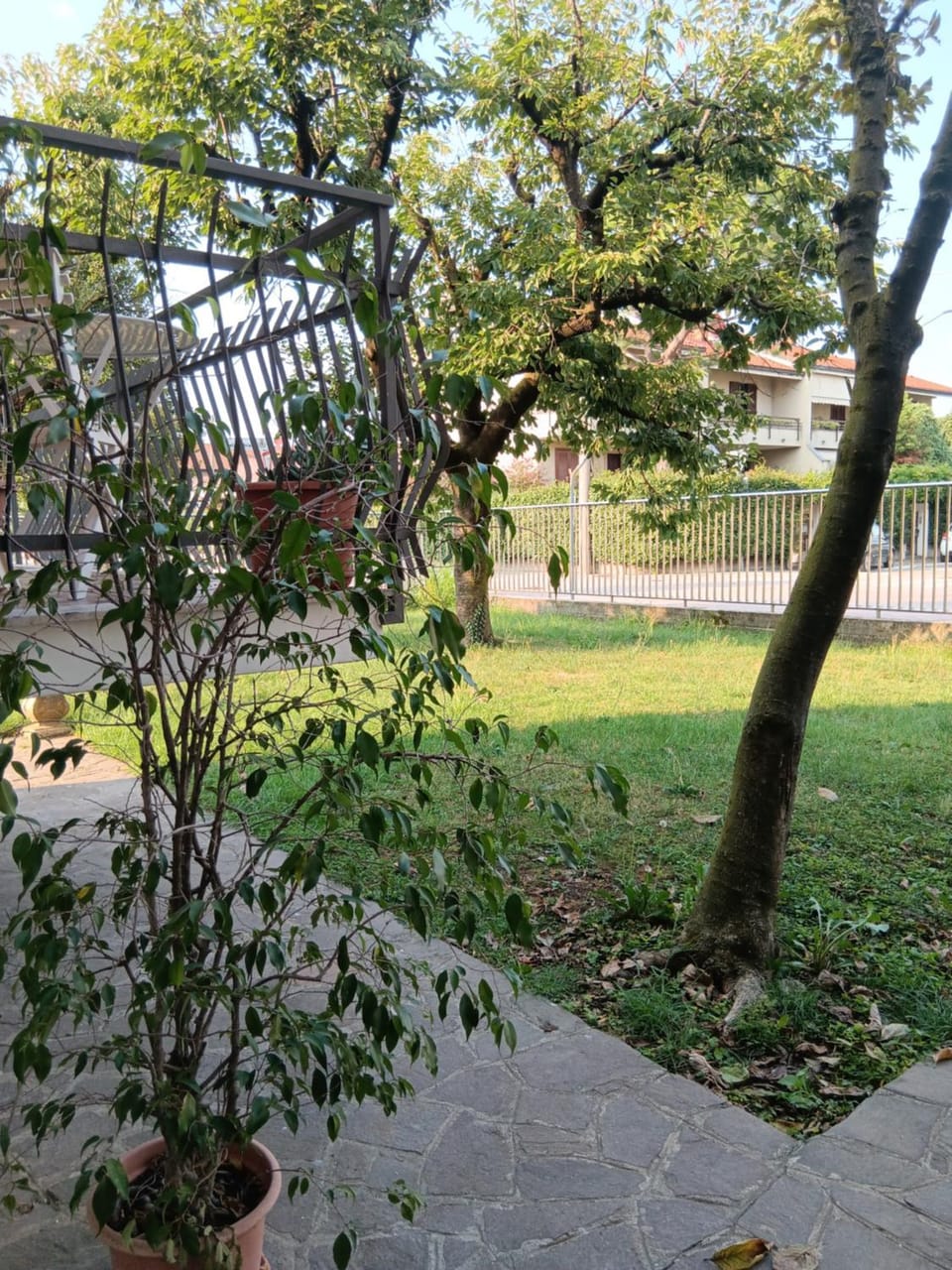 Garden view