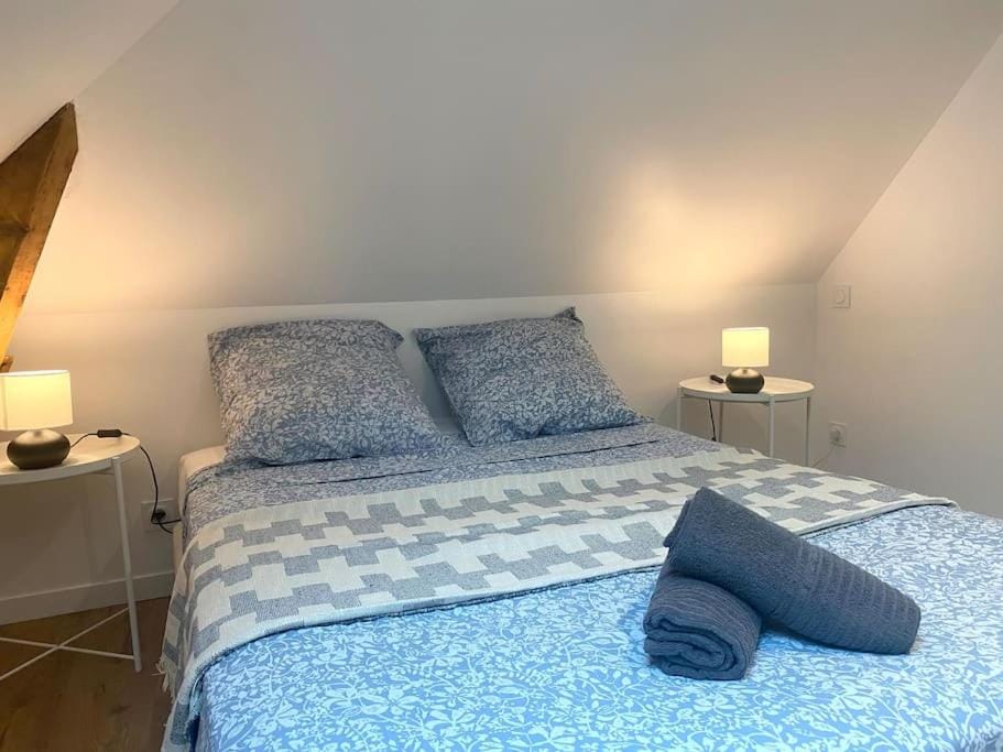 Le Thabor - T3 proche Centre Rennes Apartment in Rennes