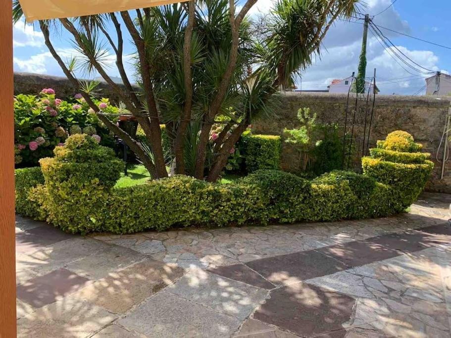 Apartamento con jardín Apartment in Santander