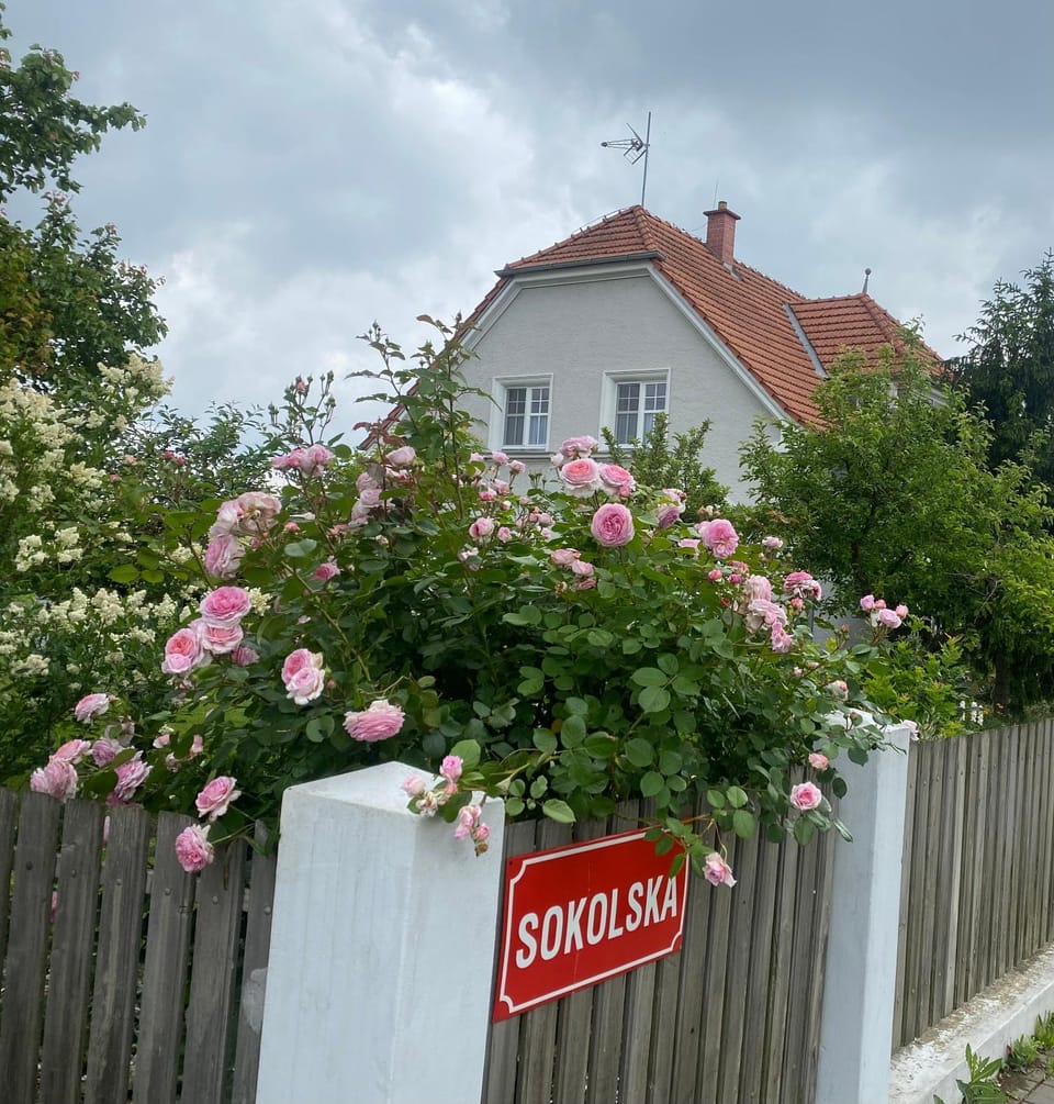 Prvorepublikový dům se zahradou Apartment in South Moravian Region