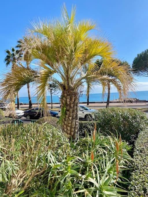 Grands studio en bord de mer Apartment in Cagnes-sur-Mer