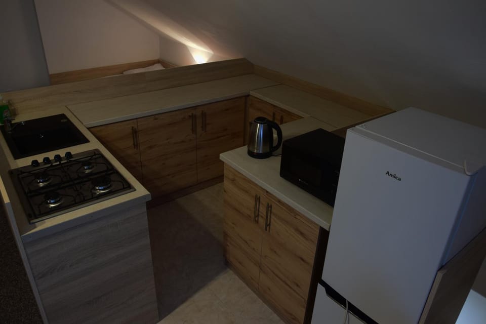 Kitchen or kitchenette, minibar, stove