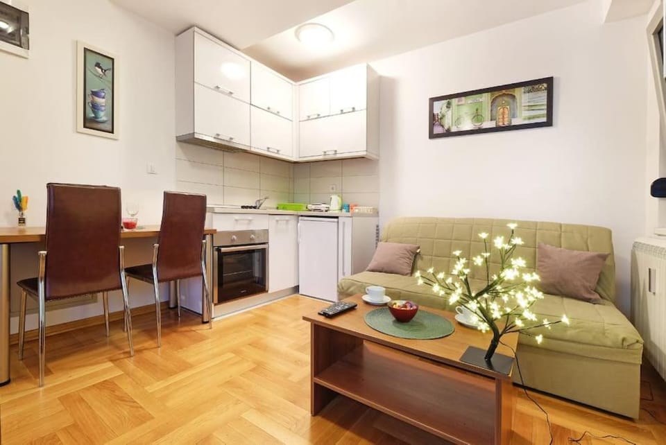 Apartment SEIF 1 Apartment in Belgrade