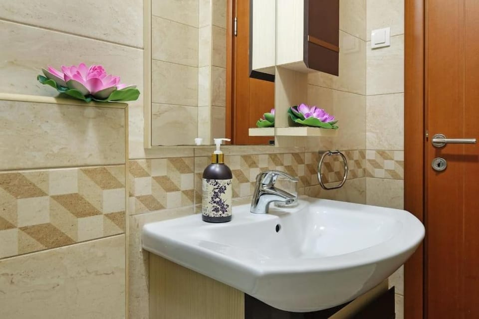 Apartment SEIF 1 Apartment in Belgrade