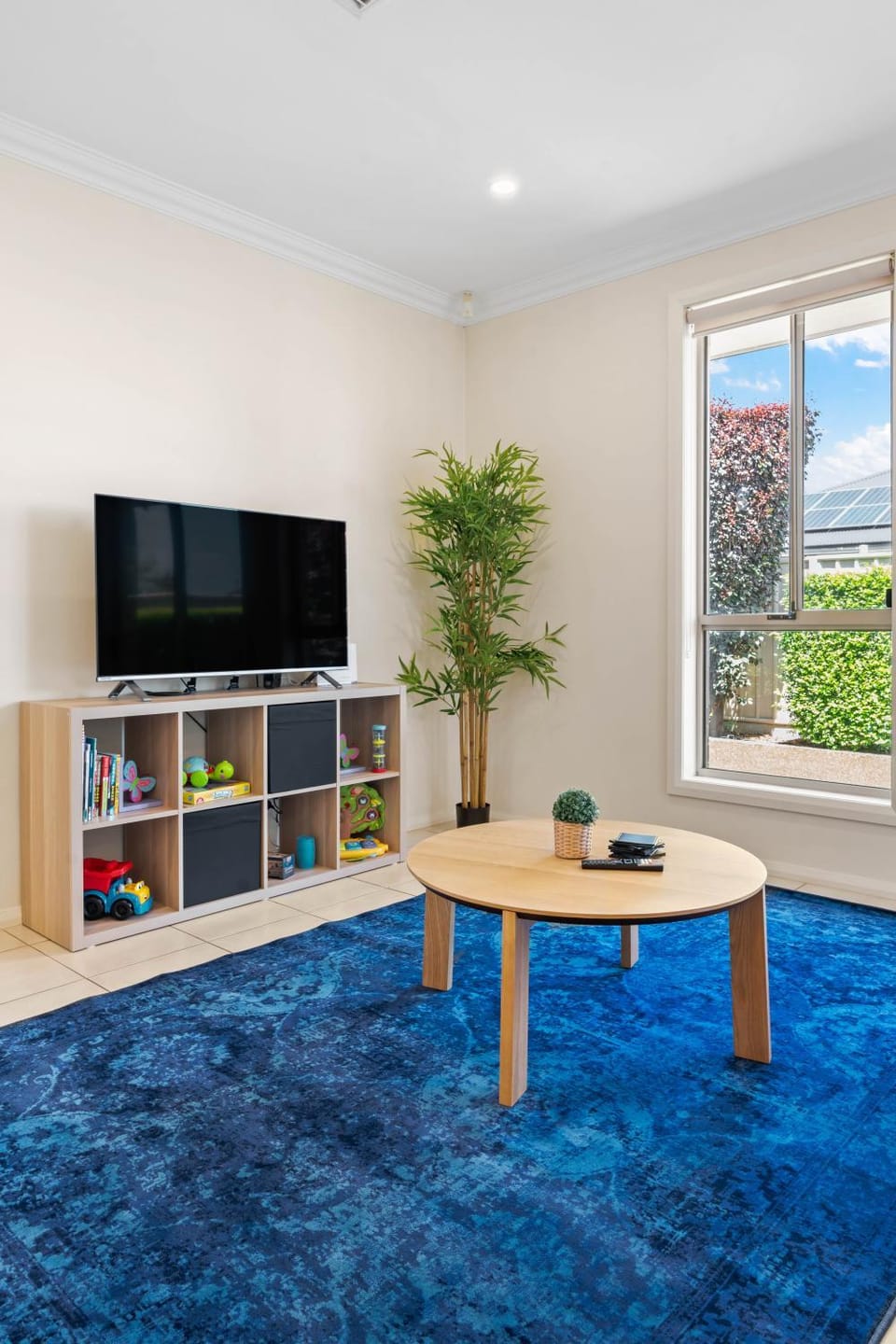 TV and multimedia