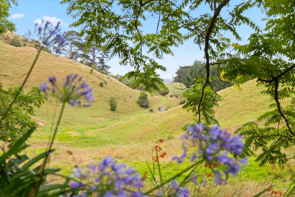 Raglan Country Lodge House in Raglan