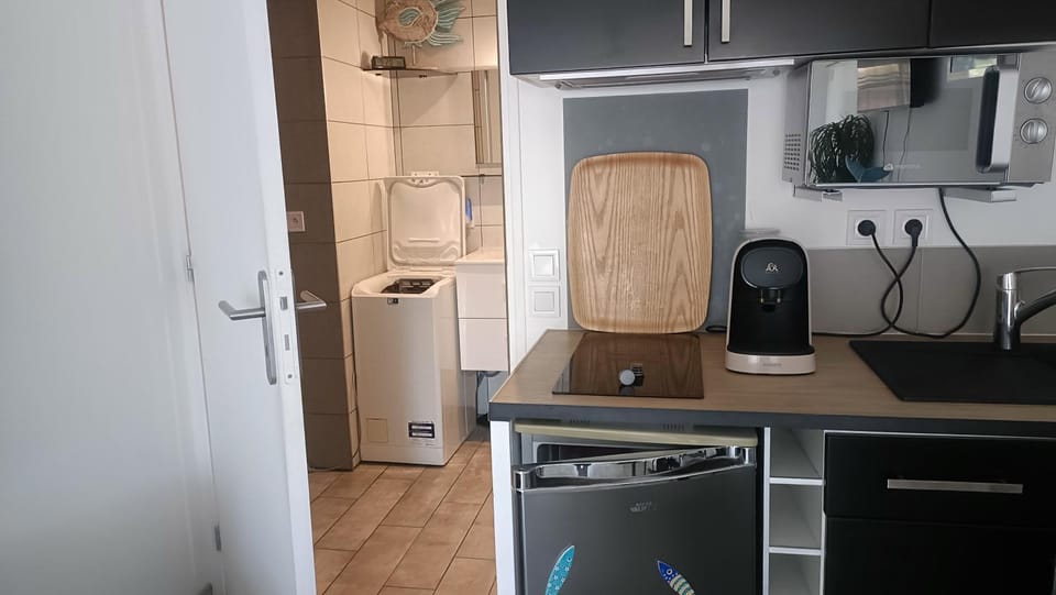 studio lumineux climatisé petit jardin et parking Apartment in Perpignan