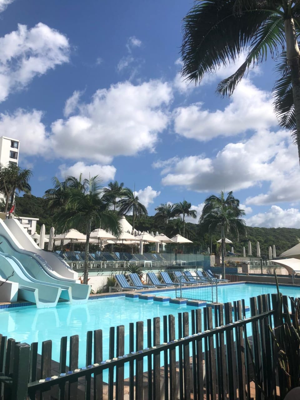 Day, Pool view, Swimming pool, sunbed