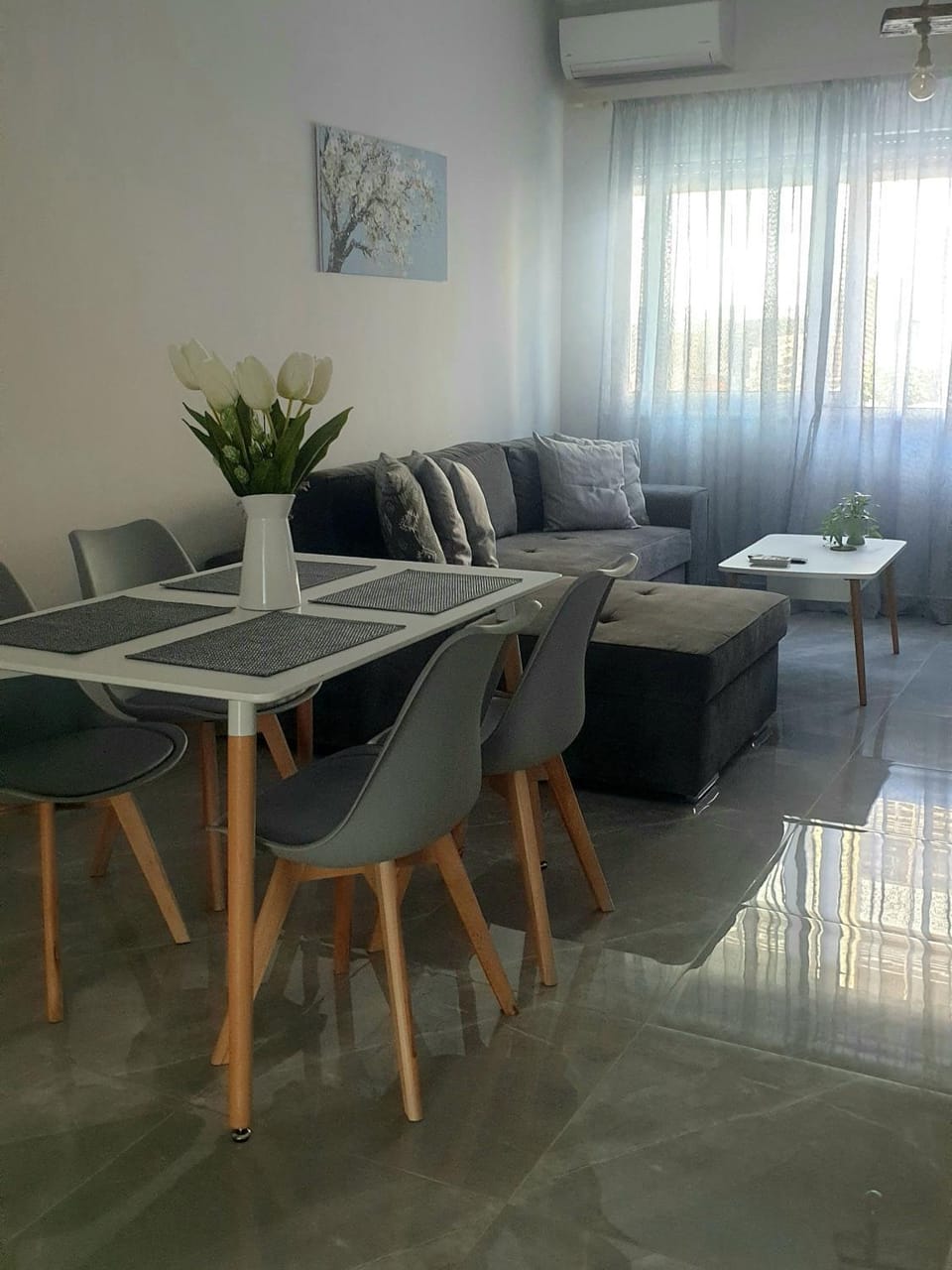 Living room, Dining area, air conditioner
