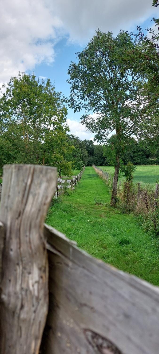 Garden view, Garden view