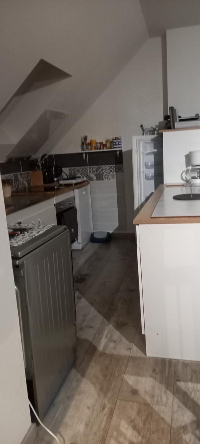 Kitchen or kitchenette, dishwasher, oven, stove