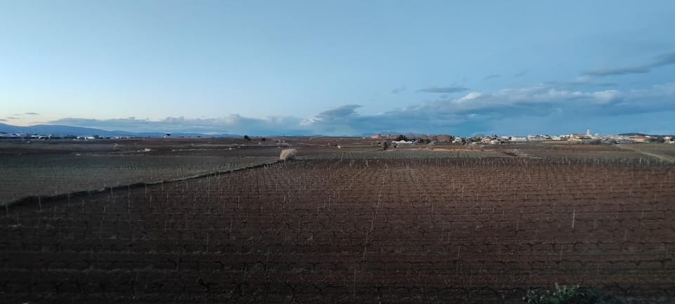 CAL LLOP House in Alt Penedès