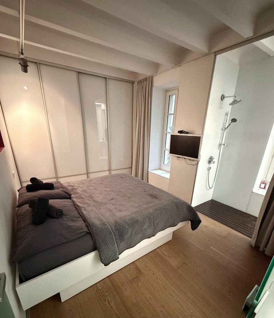 Konventna apartment in city heart, designed, spacious Apartment in Bratislava