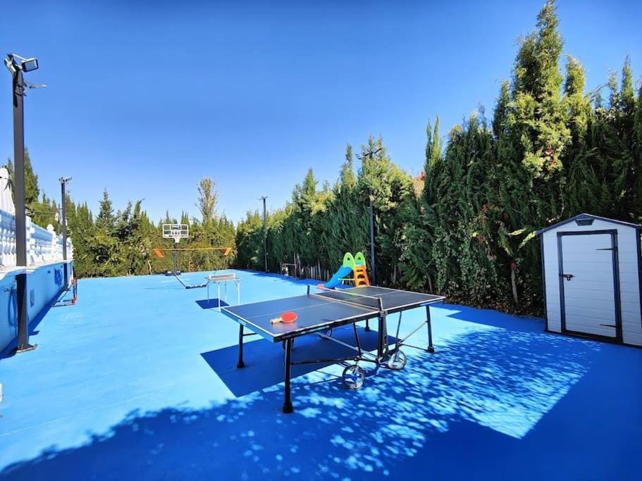 Table tennis, Sports