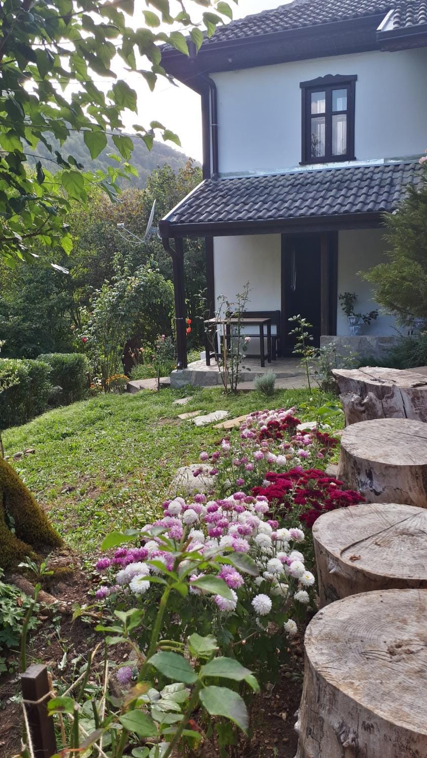 Property building, Spring, Day, Garden, Garden, Garden view