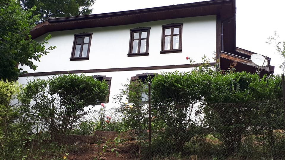 Property building, Spring, Day, Garden