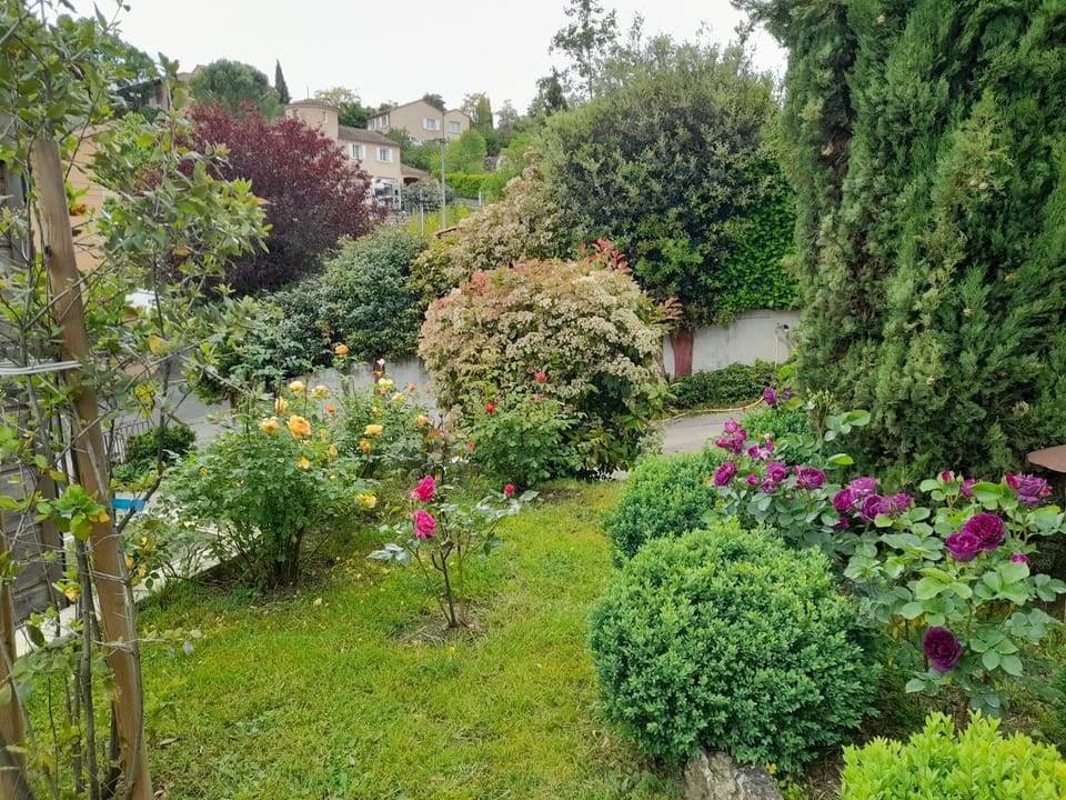 Garden, Garden