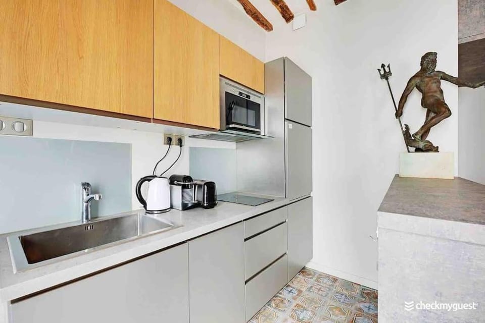 Center Paris Louvre - Tuilerie Apartment in Paris