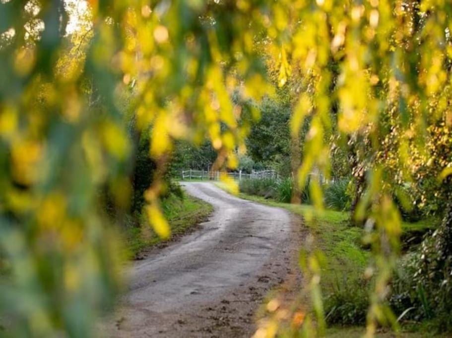 Luxury Farm House with Heated Pool & Jacuzzi Chalet in Wisborough Green