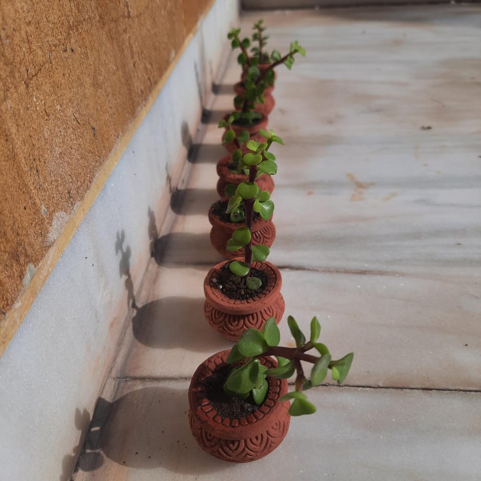 Startup Studio Room Bed and Breakfast in Rajasthan
