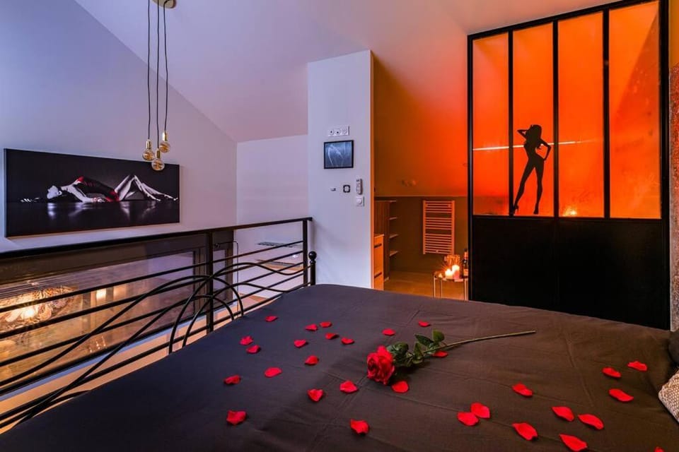 Duplex coup de coeur Apartment in Bourgoin-Jallieu