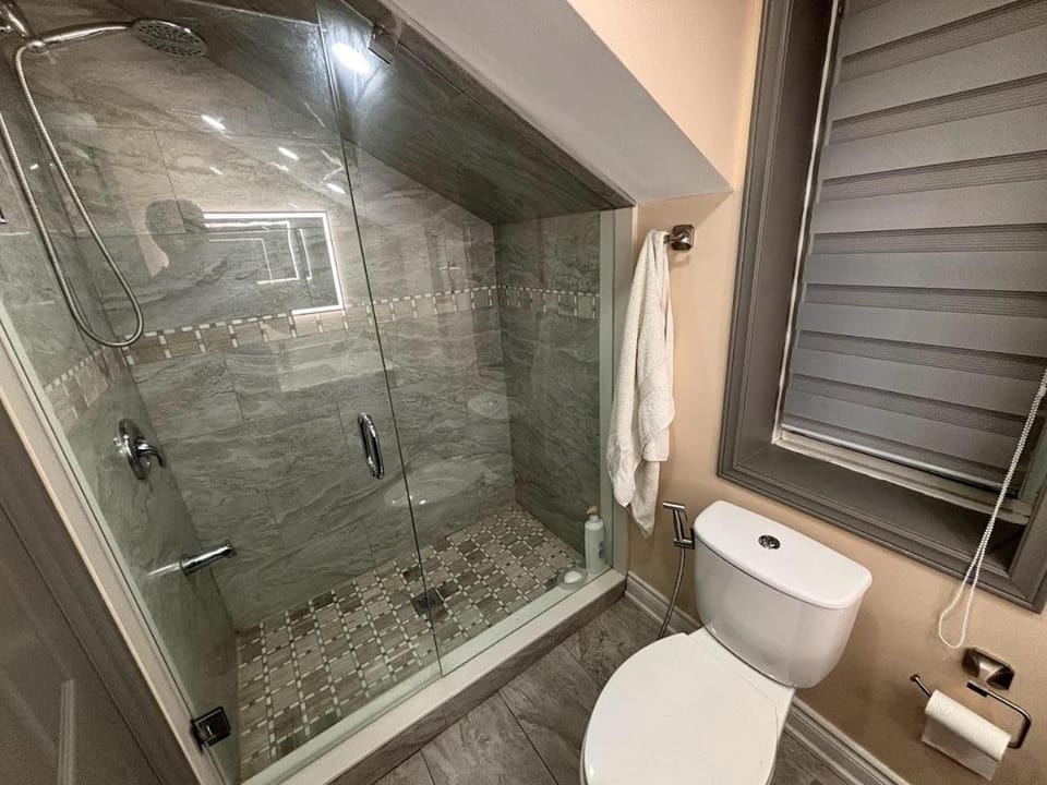 Shower, Toilet, Bathroom, towels