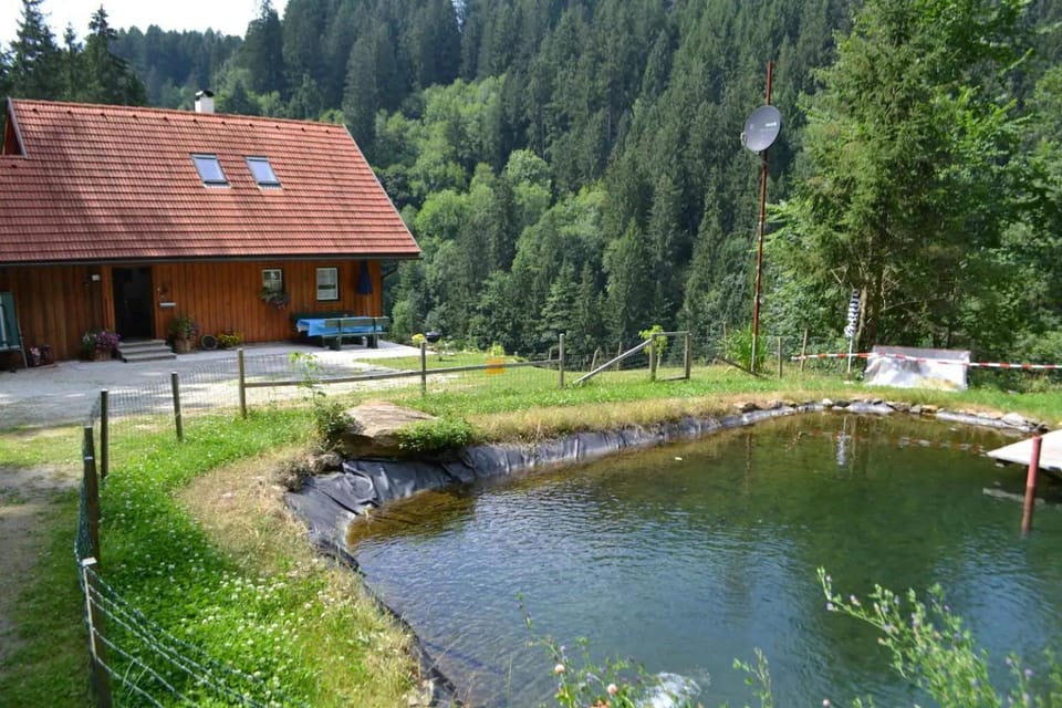 Natural landscape