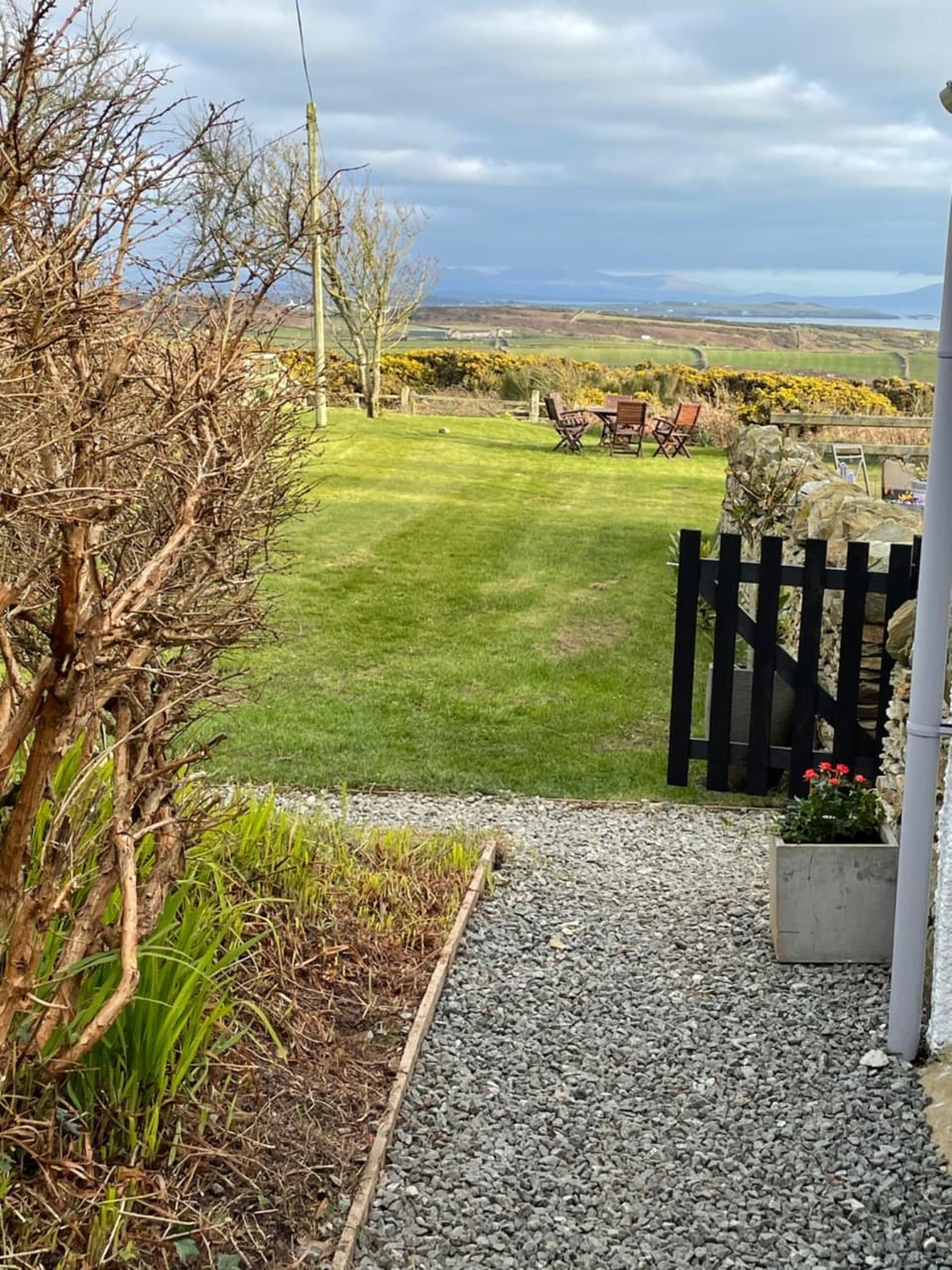 Garden view