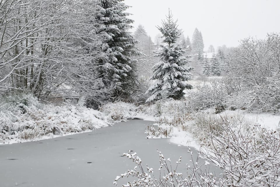 Natural landscape, Winter