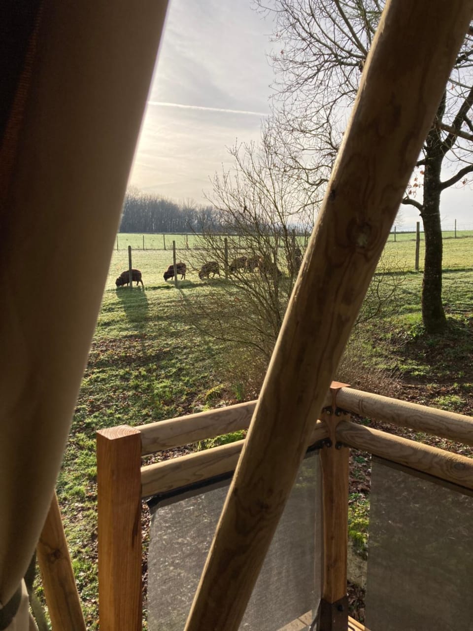 Lodge atypique Luxury tent in Nouvelle-Aquitaine