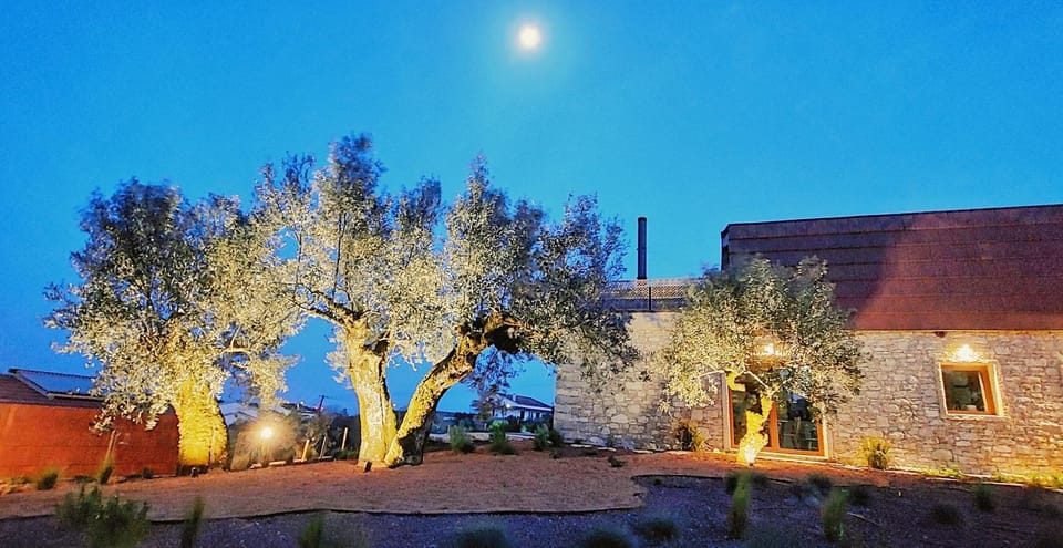 Day, Night, Garden view