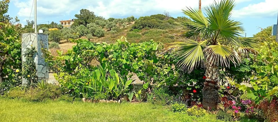 Sea breeze 1 Apartment in Thasos