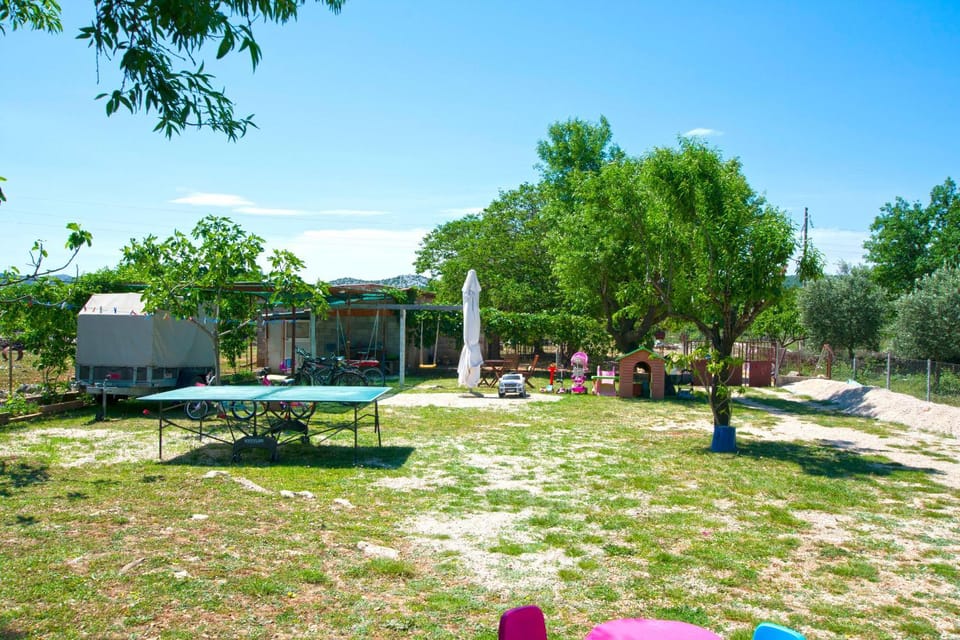Garden, Entertainment